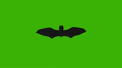 Bat Flying Silhouette Green Screen Stock Footage 344091505