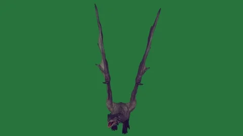 Bat Flying With Through On Chroma Key For Compositing Stock Footage 338017956