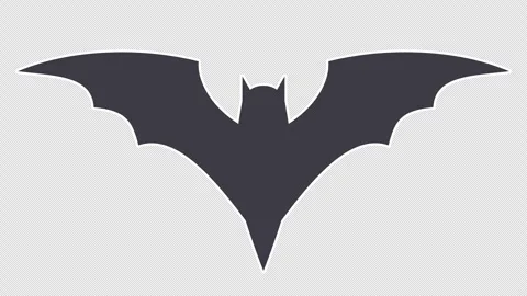 Bat Stock Footage 339458077