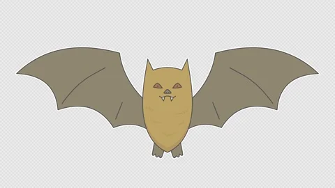 Bat 스톡 동영상 339931097