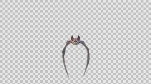 Bat Front Loop Видео 57725182