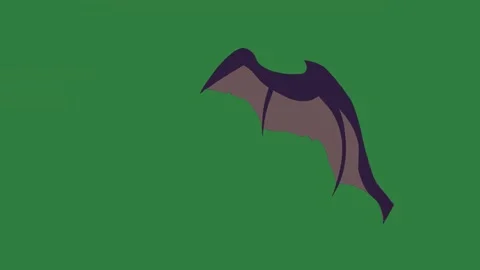 A bat on green background and flying through the air screen isolated on green Stock Footage 336886073