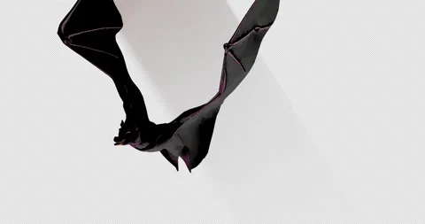 Bat Grey 2 Vidéo 255003548