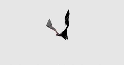 Bat Grey 4 Vidéo 255003541