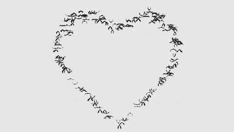 Bat Heart Shape Alpha Loop Stock Footage 317325571