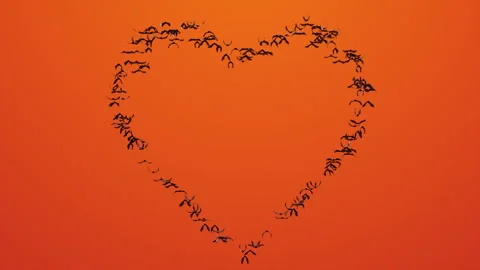Bat Heart Shape Orange Background Loop Stock Footage 317325454