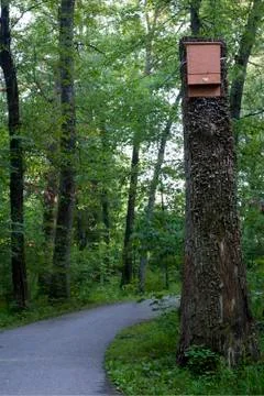 Bat house Stock Photos