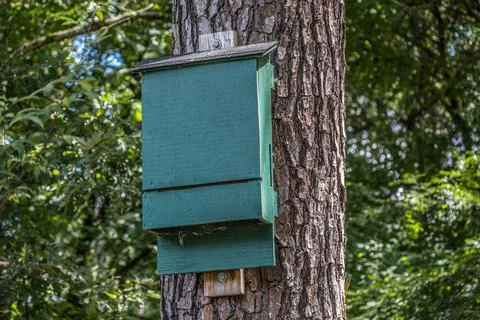 Bat house on a tree closeup Stock Photos