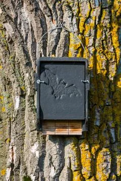 Bat house on a tree Stock Photos