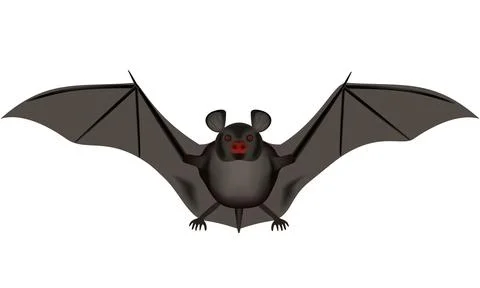 Bat Stock Illustration
