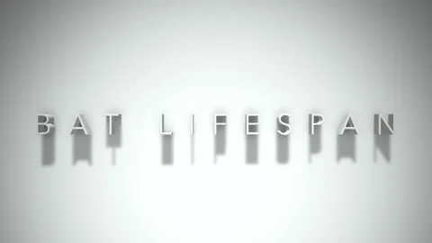 Bat lifespan 3D title animation white text on a white background Stock Footage 299749356