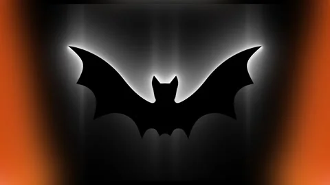 Bat loop animation for halloween holiday decoration banner. Zoom in with ora Stock Footage 247217653