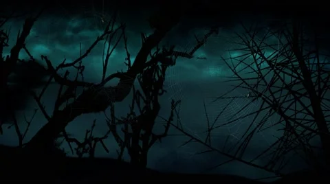 Bat Moon Trees Storm 4K Loop Stock Footage 68360396