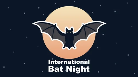 Bat night international moon Stock Footage 341521823