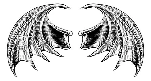 Bat or Dragon Wings Stock Illustration