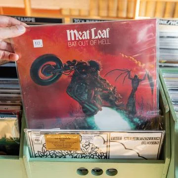 Bat Out of Hell Stock Photos