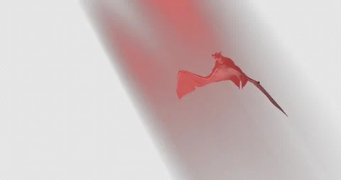 Bat Red 1 Vidéo 255003877