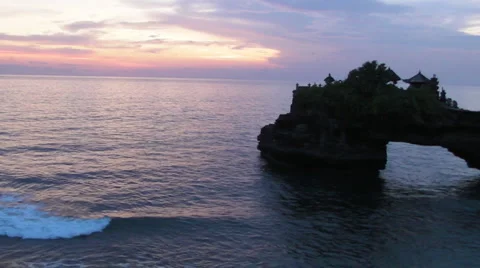 Bat Release Stock-Footage 5166120