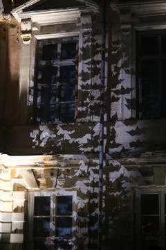 Bat shadow on the building Stock Photos