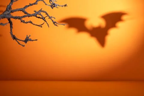 Bat shadow with dry branches on orange Halloween background and empty surfa.. Stock Photos