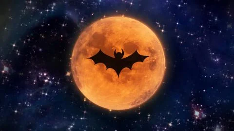 Bat shadow at Halloween moon 스톡 일러스트