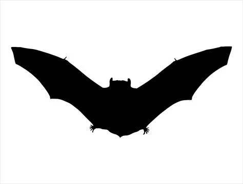 Bat silhouette vector art Stock Illustration