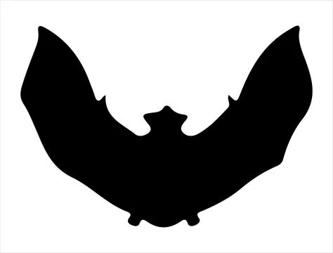 Bat silhouette vector art Stock Illustration