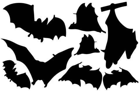 Bat silhouette vector for websites, graphics related artwork Stock Illustration