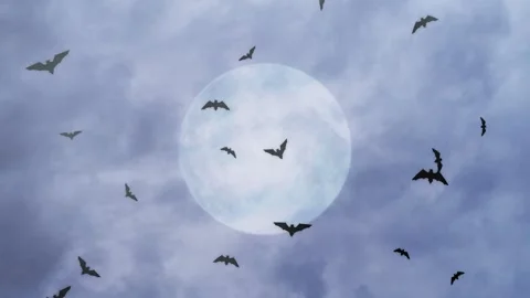 Bat Silhouettes Flying with Full Moon 4K Loop 库存影片 341295206