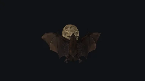 Bat with Skull - Flying Cycle - Top Back View - Transparent Loop Stock Footage 127577831