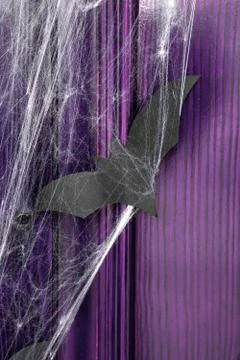 Bat in spider web on purple background Stock Photos