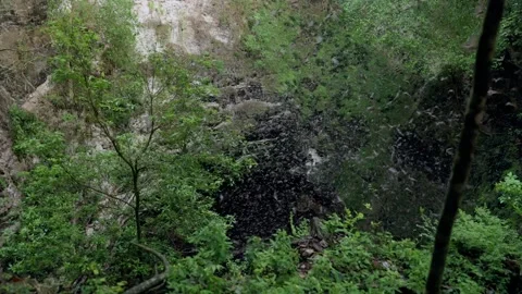 Bat swarm emerging from Volcan de los Murcielagos cave entrance at dusk Stock Footage 331770164