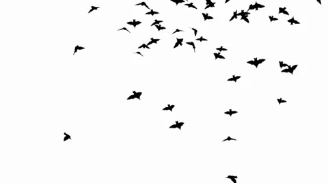 Bat swarm Stock-Footage 27956027