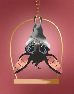 Bat on a swing Stock Illustration