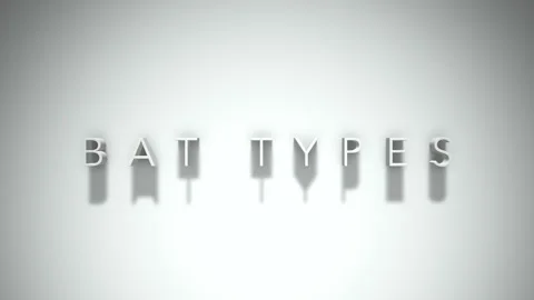 bat types 3D title animation with shadow... | Stock Video | Pond5