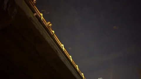 Bat Under Congress Bridge Smooth Handheld Pan Stock Footage 82429129