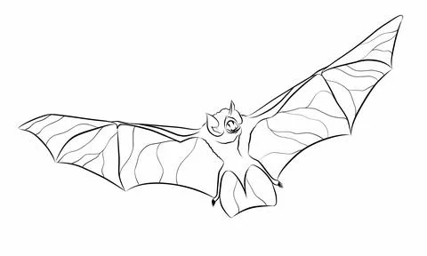 Bat vampire black line icon vector illustration. Stock Illustration