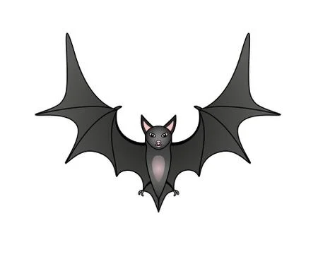 Bat - vector full color illustration. A cute gray bat in flight. the flying fox Stock Illustration