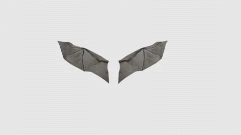 Bat Wings 4K Looped Stock Footage 165429408