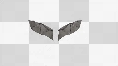 Bat Wings Looped Stock Footage 165428145