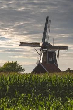 Bataaf windmill in Winterswijk in the evening sun. Stock Photos