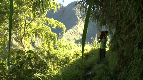 Batad laboring 1 Stock Footage 511123