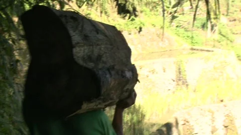 Batad laboring 2 Video stock 511117