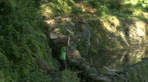 Batad laboring 3 Stock Footage 511116