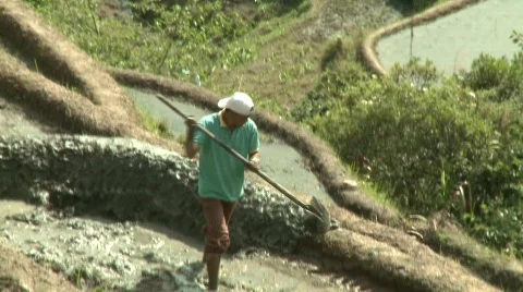 Batad laboring 6 Stock Footage 514817