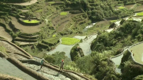 Batad laboring 7 스톡 동영상 514810