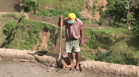 Batad laboring 8 스톡 동영상 514807