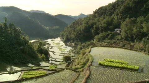 Batad rice terraces 13 Stock Footage 511027