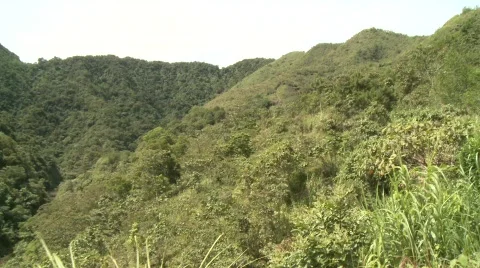 Batad rice terraces 15 Stock-Footage 511909