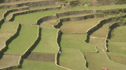 Batad rice terraces 20 Stock Footage 511899
